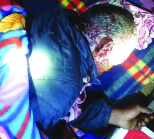 ಕಾರ್ಮಿಕನ ಮೇಲೆ ಹುಲಿ ದಾಳಿ